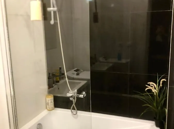 Karlin Cozy Apartmán Praha