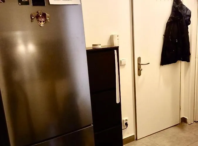 Karlin Cozy Apartmán Praha